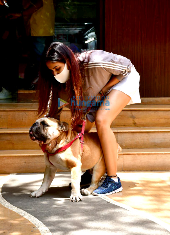 photos sonnalli seygall snapped at a clinic with her pet in khar 3