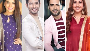 Zee TV actors Anjum Fakih, Sehban Azim, Sanjay Gagnani, Reem Shaikh reminisce their best Eid celebrations