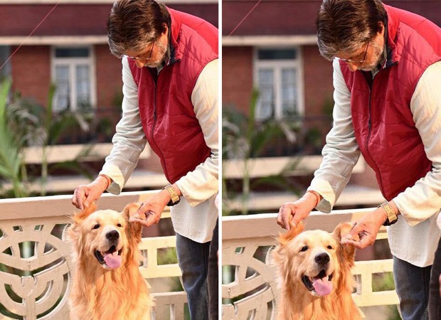 Amitabh Bachchan shares a glimpse of his furry ‘co-star’ from sets of Goodbye