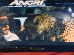 Khatron Ke Khiladi 11: Rohit Shetty sets the stage for battle between ‘Darr’ and ‘Dare’ in first promo 