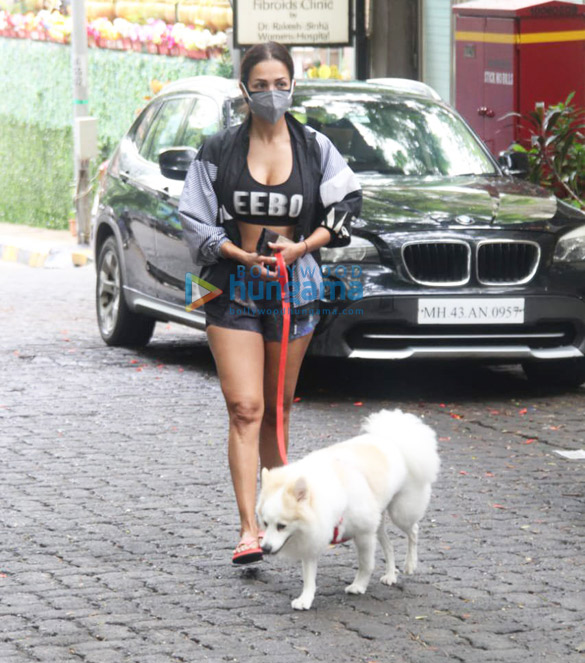 photos malaika arora and sophie choudry spotted in bandra 3