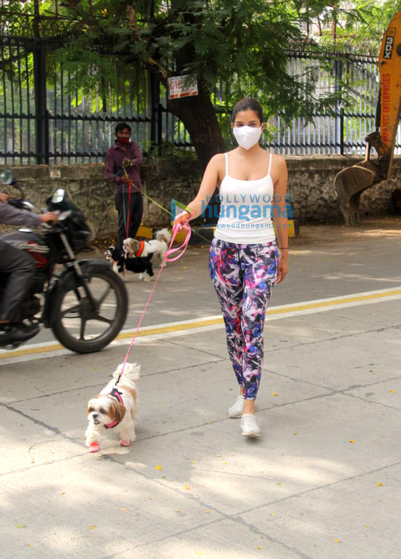 Photos: Sophie Choudry and Neha Sharma spotted with their pets in Bandra
