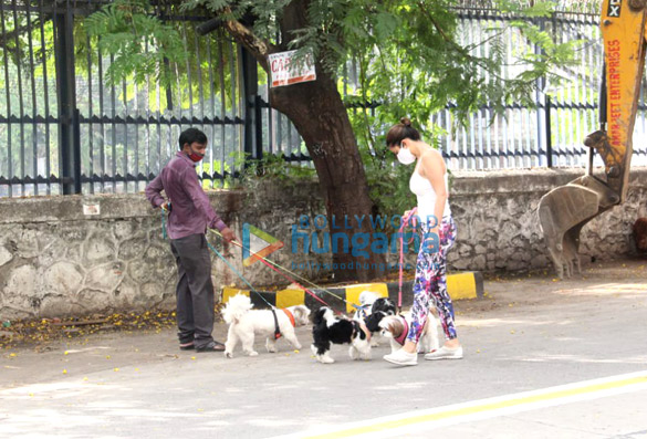photos sophie choudry and neha sharma spotted with their pets in bandra 5