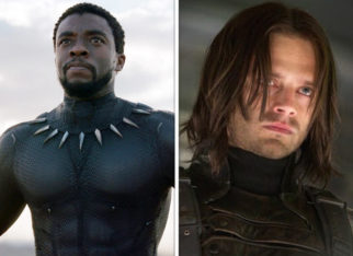 Sebastian Stan says he always hoped to work with Chadwick Boseman in Black Panther
