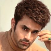Pearl V Puri arrested in connection with the rape of a minor; Naagin co-star Anita Hassanandani stands in his support
