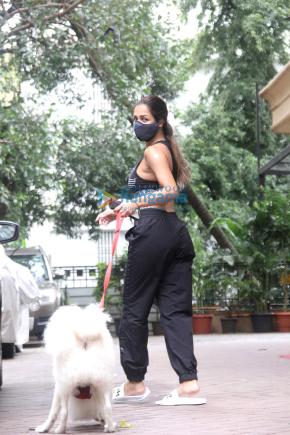 photos malaika arora spotted in bandra 5 7