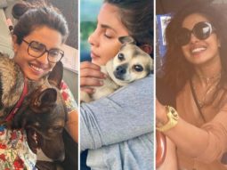 Priyanka Chopra Jonas posts snaps with her best friends making the best use of the London summer
