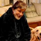 Amitabh Bachchan praises the initiative of 'I Luv Mumbai Foundation' in feeding stray animals, sends a personal video for the welfare of four-legged buddies