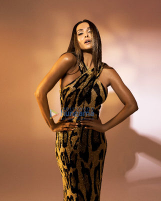 Celeb Photos Of Malaika Arora
