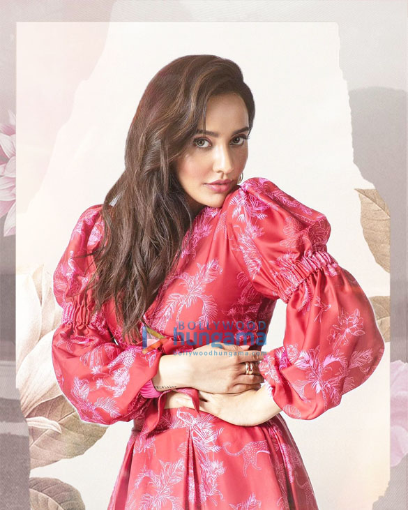 neha sharma 2 17