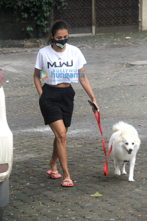 photos malaika arora spotted with her pet on a morning walk 1 7