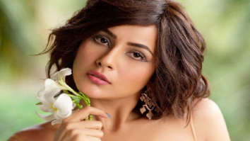 Celebrity Photo Of Shehnaaz Gill