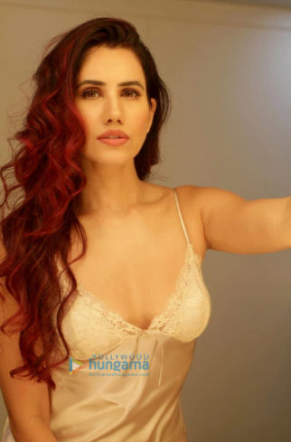Celeb Photos Of Sonnalli Seygall