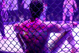 Movie Stills Of Liger