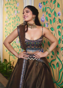 Celebrity Photos of Bhumi Pednekar