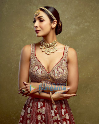 Celebrity Photo Of Malaika Arora