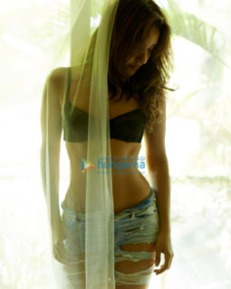 Celeb Photos Of Neha Sharma