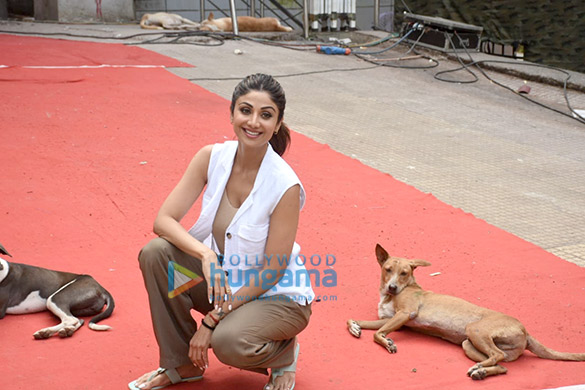 photos shilpa shetty spotted at film city 5