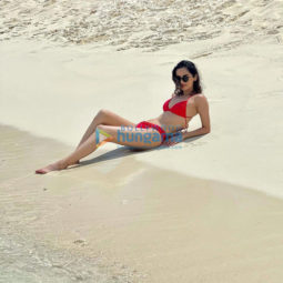 Celebrity Photo Of Manushi Chhillar