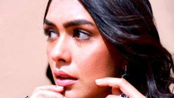 Celeb Photo Of Mrunal Thakur