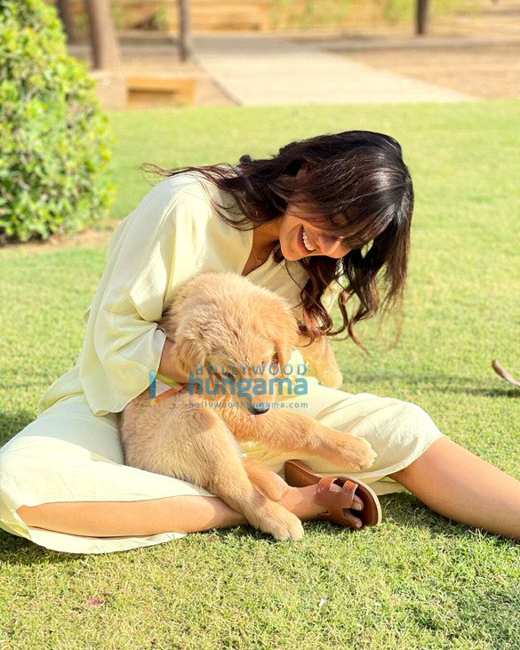 neha sharma 1 25