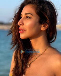 Celeb Photos Of Sophie Choudry