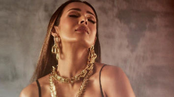 Celebrity Photo Of Malaika Arora