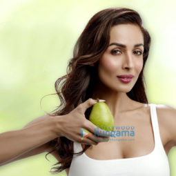 Celeb Photos Of Malaika Arora