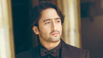 Shaheer Sheikh to play the protagonist in Rajan Shah’s next fiction show