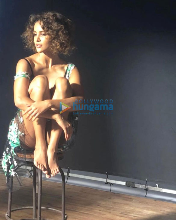 aisha sharma 2 22