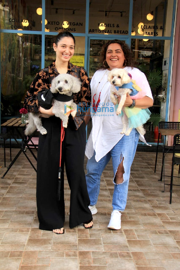 photos tamannaah bhatia snapped with her pet in versova 02 6