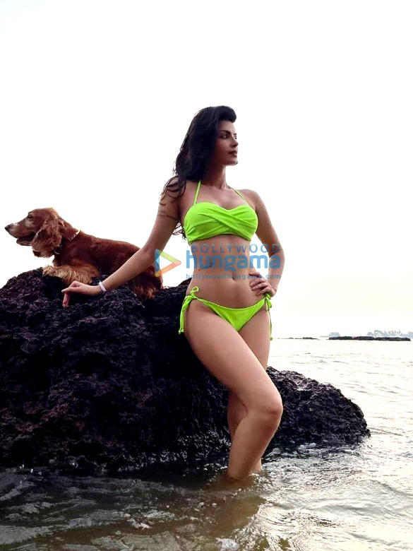 sonali raut 63