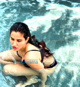 Celeb Photos Of Sonnalli Seygall