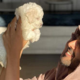 "Love is a four-legged word" - Kartik Aaryan shares photo with his pup Katori; Shehzada co-star Kriti Sanon comments