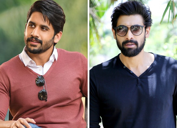 Naga Chaitanya and Rana Daggubati to team up for a remake of Tamil film Manadu Naga Chaitanya and Rana Daggubati to team up for a remake of Tamil film Manadu