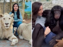 Nora Fatehi poses with majestic lions, cradles a chimpanzee as she spends her day playing with animals