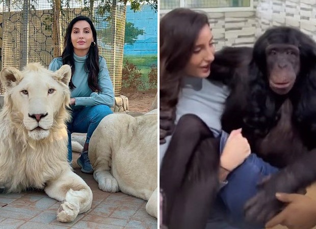 Nora Fatehi poses with majestic lions, cradles a monkey as she spends her day playing with animals