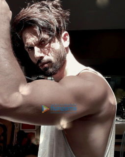 Celeb Photos Of Shahid Kapoor