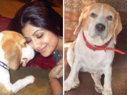 Shilpa Shetty pens down an emotional note on losing her pet, says the void can’t be filled