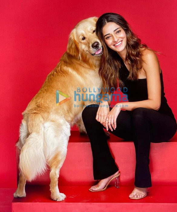 ananya panday 1 94