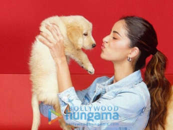 Celeb Photos Of Ananya Panday