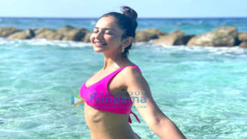 Celeb Photos Of Rakul Preet Singh
