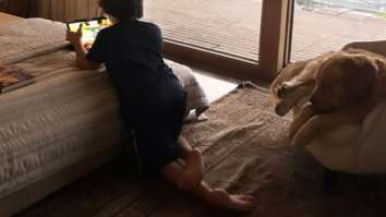 Suhana Khan shares a photo of her brother Abram and their pet dog chilling in her room, see adorable moment