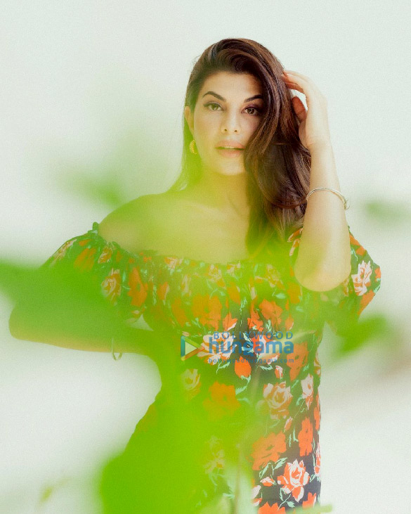jacqueline fernandez 5 14