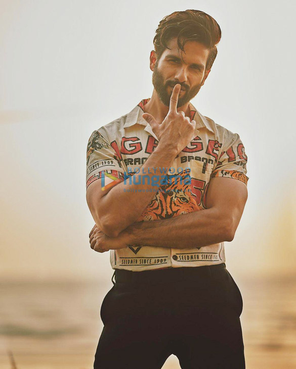 shahid kapoor 744 1