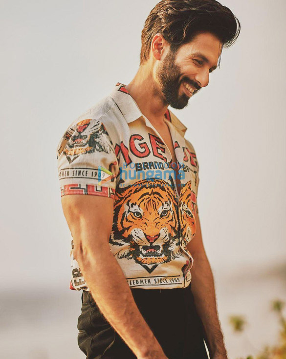 shahid kapoor 744 2