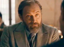 Warner Bros. China censors Fantastic Beasts: Secrets of Dumbledore’s dialogue about gay relationship before release