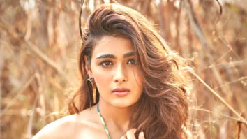 Celeb Photos Of Shalini Pandey