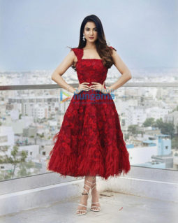 Celebrity Photos of Sonal Chauhan