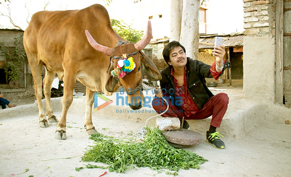 holy cow 2